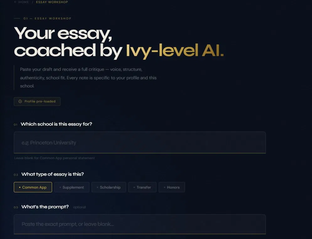 Essay Workshop